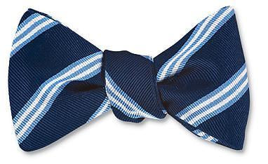 Blue Bow Ties