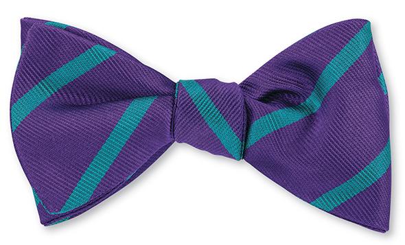 hornets bow tie