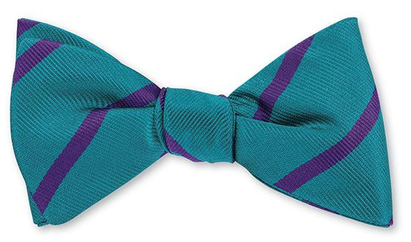 hornets bow tie