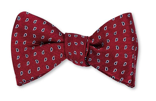 paisley bow tie