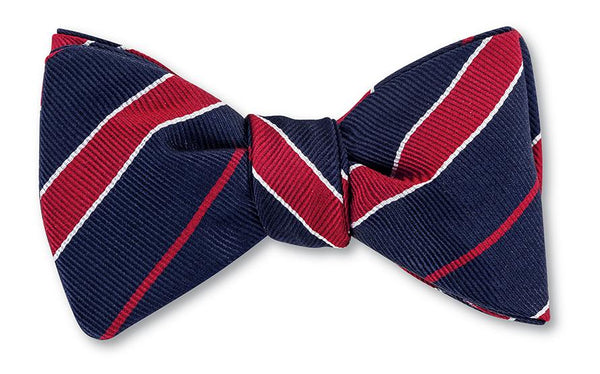 Blue and Red Bow Tie